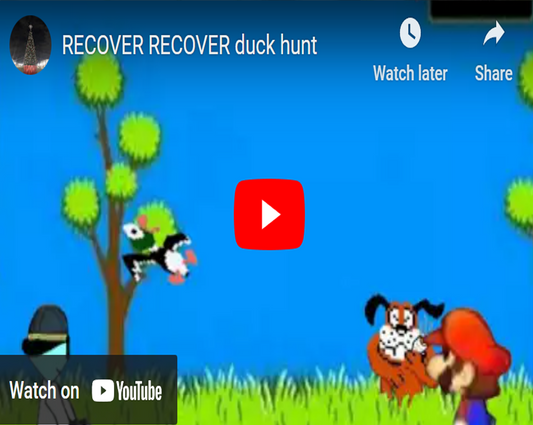 Duck Hunt?